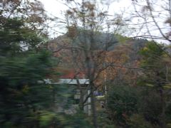 -青峰峡国家森林公园