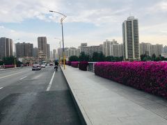 -清真·苍鹰蓬灰牛肉面(盐场路店)