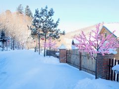 -雪谷