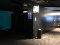 -奥斯卡升龙国际影城(RealD Cinema)