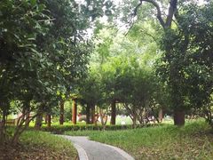 -徐家汇源景区-衡山公园
