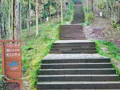 -三峡梯城