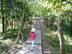 -上海佘山国家森林公园天马山园