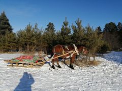 -北极村旅游风景区