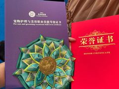 -鑫艺宠物美容培训学校