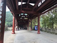 -重庆彩云湖湿地公园
