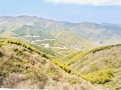 -莫干山风景区