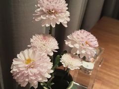 -墨宴(西洋湖店)