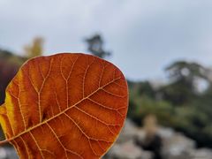 -香山公园