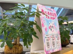 -长风拨筋养身(金虹桥店)