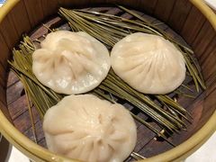 -阿五黄河大鲤鱼(纬三路店)