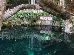 -蝴蝶泉公园