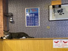 -丫丫汤膳打边炉(宏府408坊店)