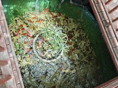 -锦上中式酒馆(南内环店)