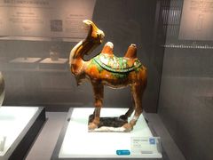 -景德镇中国陶瓷博物馆
