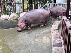 -宁波野生动物园