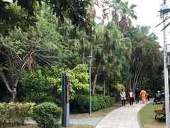 -福田红树林生态公园