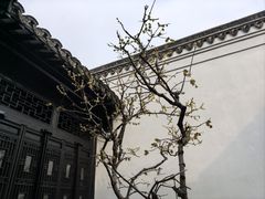 -绮园景区