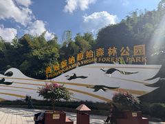 -西双版纳原始森林公园
