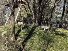 -北京野生动物园