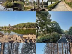 -长沙园林生态园