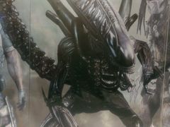 android_upload_pic-博纳国际影城(凯德广场店)
