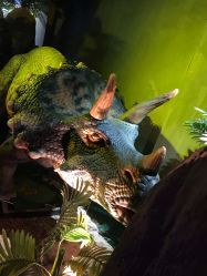 -恐龙探索乐园(磁器口店)