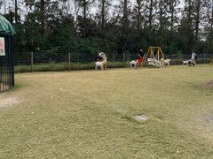 -前小桔亲子创意农场·草莓采摘·露营烧烤