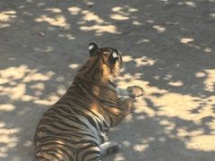 -西霞口神雕山野生动物世界