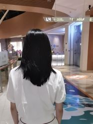 -YESIDO椰岛造型