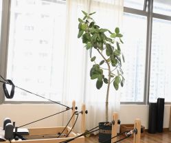 -Y+U遇瑜伽·普拉提