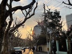 -小团圆糖水铺(襄阳南路店)