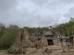-哈尔滨北方森林动物园