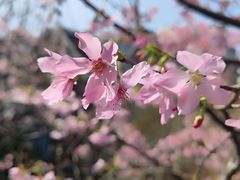 -乌山风景区