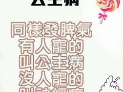 -天使恋人情侣主题酒店(深圳罗湖万象城店)
