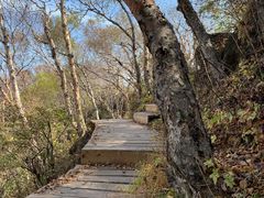 -白草畔自然风景区