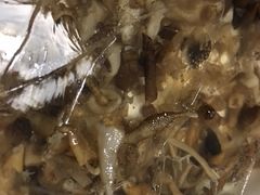 -美乐食街(小南店)