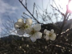 -广州市流溪河国家森林公园