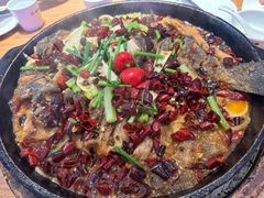 -老板恋上鱼(恒隆广场店)