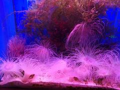 -多彩贵州城极地海洋世界