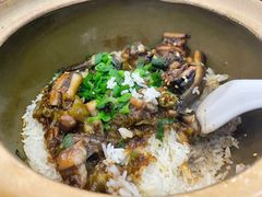 -红星光发煲仔饭(文海店)