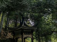 -藏龙百瀑风景区