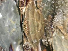 -沈家门海鲜夜排档(东港店)