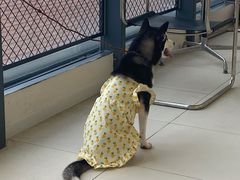 -怪兽屋·羊驼·猫咖·狗咖(俊华广场店)