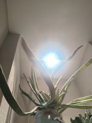 -香秀空间科技抗衰·美容中心