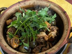 田螺焖鸡-棠记大排档(海珠店)