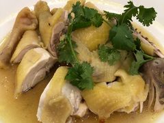 招牌清水鸡-馨越楼·点心·粤菜(赤坎店)