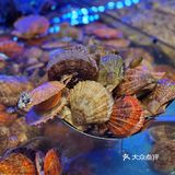 这家店想让更多天津人知道！真的好值👍🏻