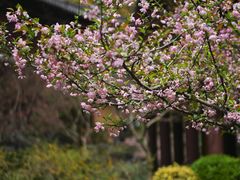 -慧因高丽寺