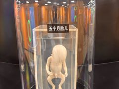 -国家自然博物馆